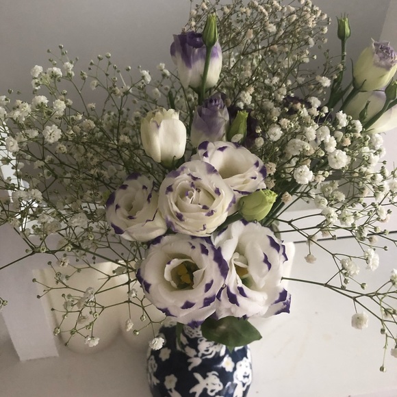 Meet your Posher, Azadeh - Picture 1 of 1